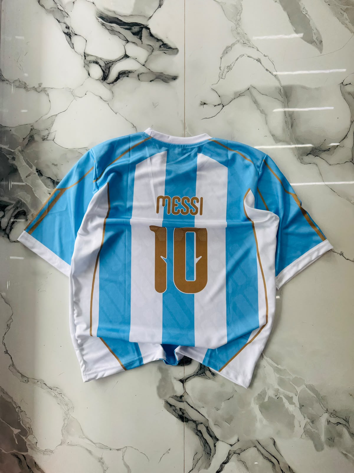 Argentina Lionel Messi #10 Home Football Jersey – Premium Fan Edition
